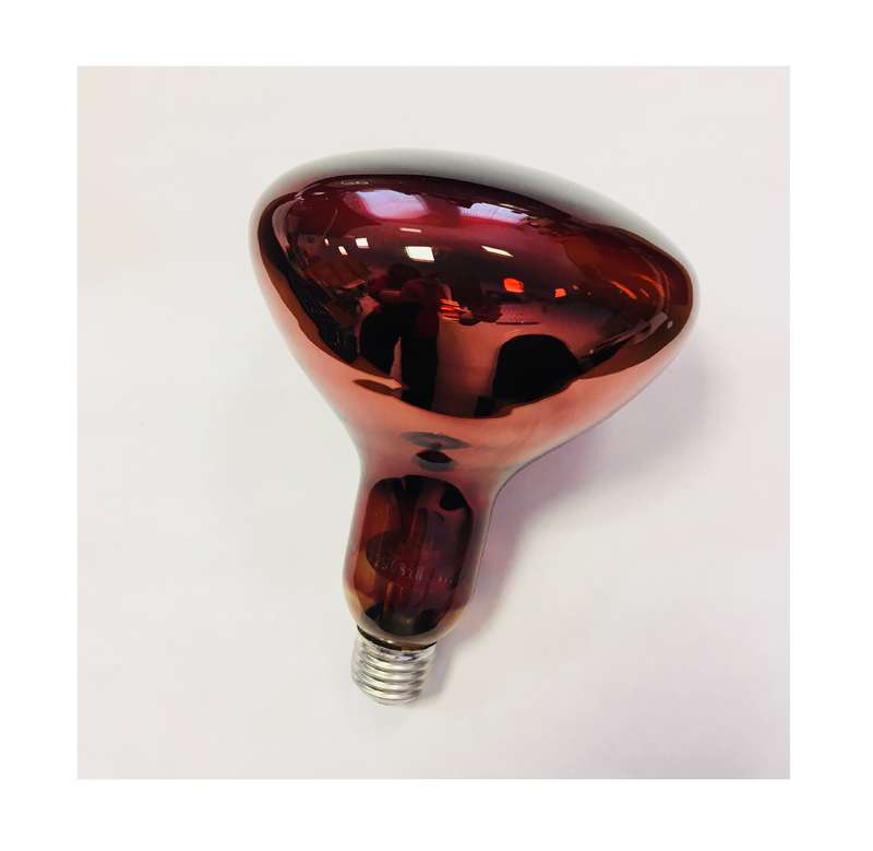 images/stories/virtuemart/product/ctlg_rsz/kelz_kalashnikovo/18